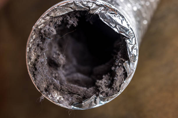 Best Air Duct Cleaning Near Me  in Gladewater, TX