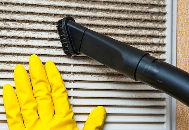 Best Ductwork Cleaning Services  in Gladewater, TX